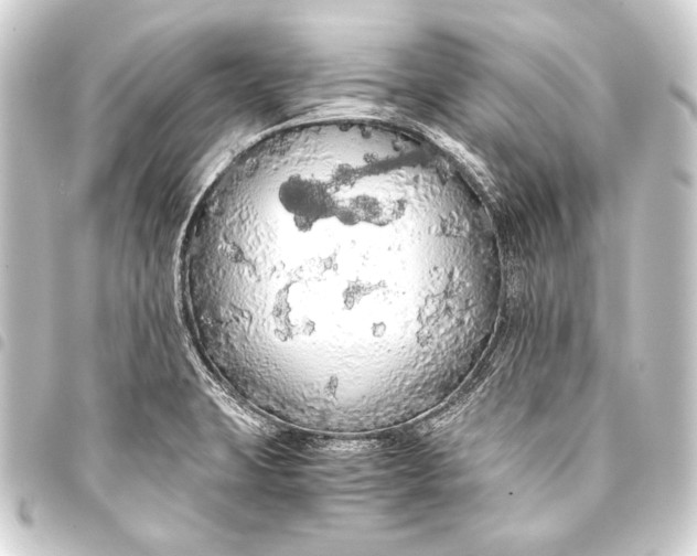 X0000093411423200711020945