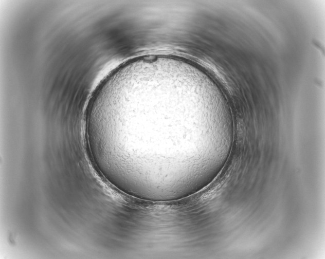 X0000093411424200711020946