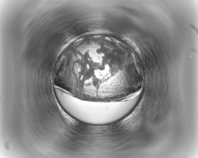 X0000093411425200711020946