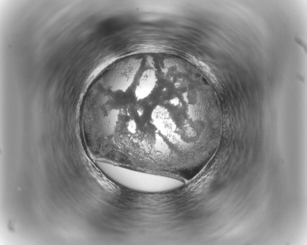 X0000093411427200711020946