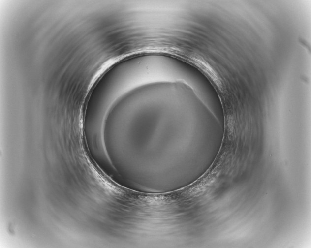 X0000093411428200711020946