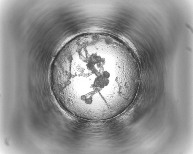 X0000093411429200711020946