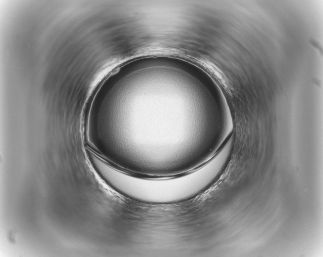 X0000093411430200711020946