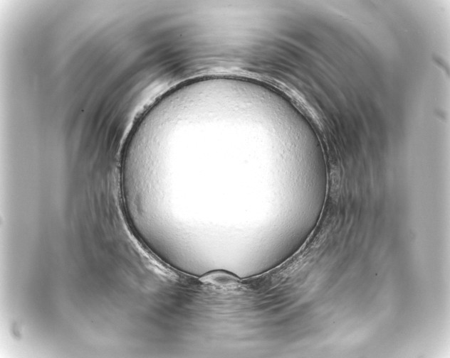 X0000093411432200711020946