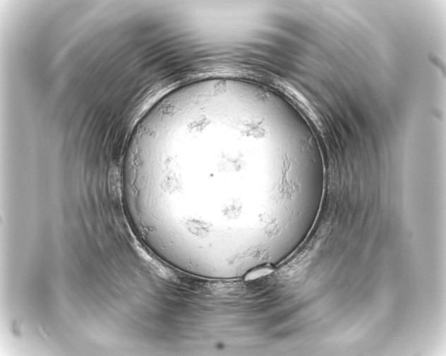 X0000093411433200711020946