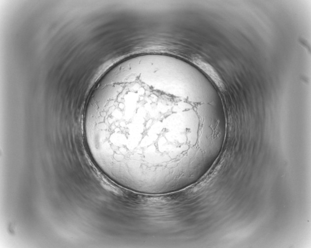 X0000093411436200711020946