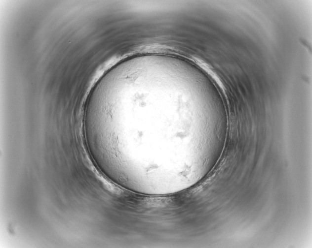 X0000093411437200711020946