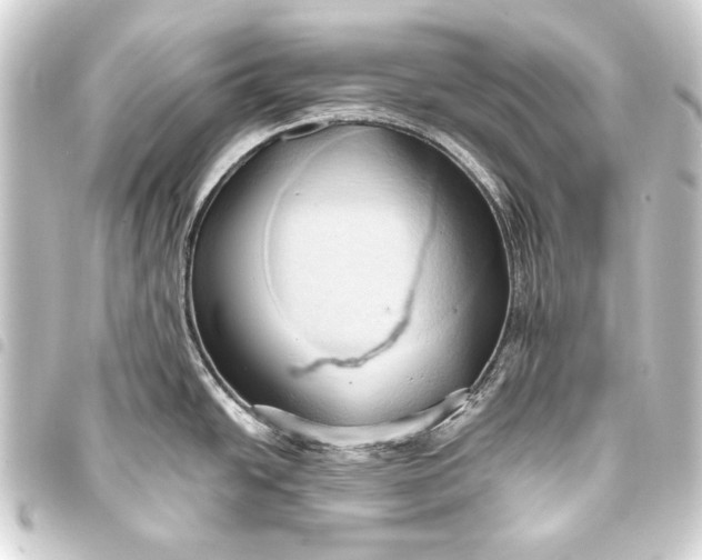 X0000093411438200711020946