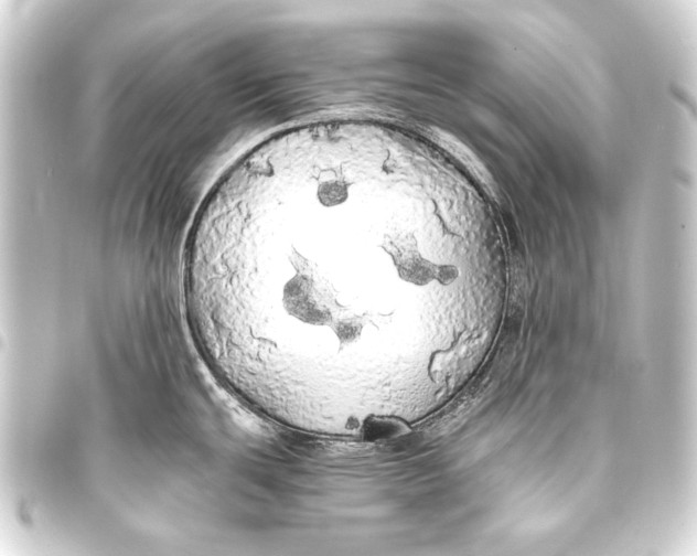 X0000093411439200711020946