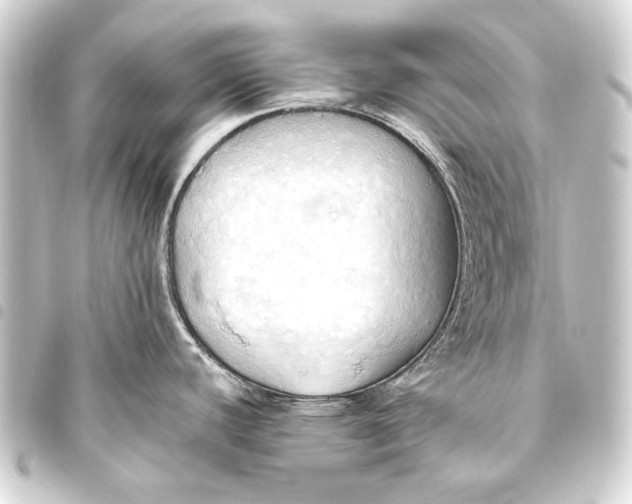 X0000093411440200711020946