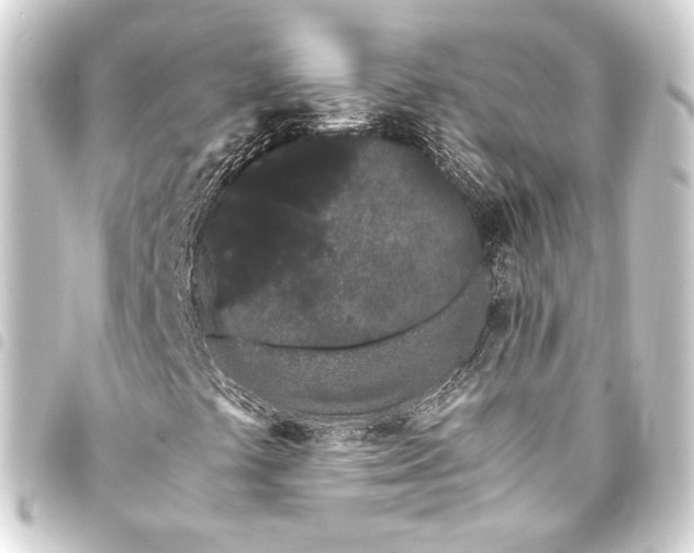 X0000093411441200711020945