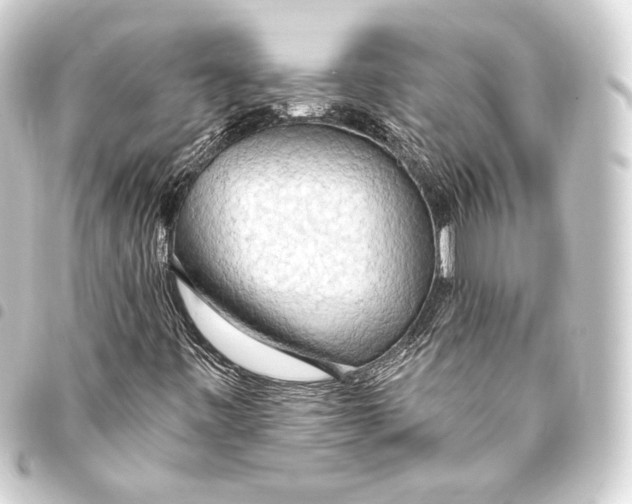 X0000093411443200711020945