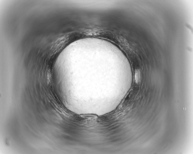 X0000093411444200711020945