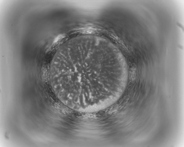 X0000093411446200711020945