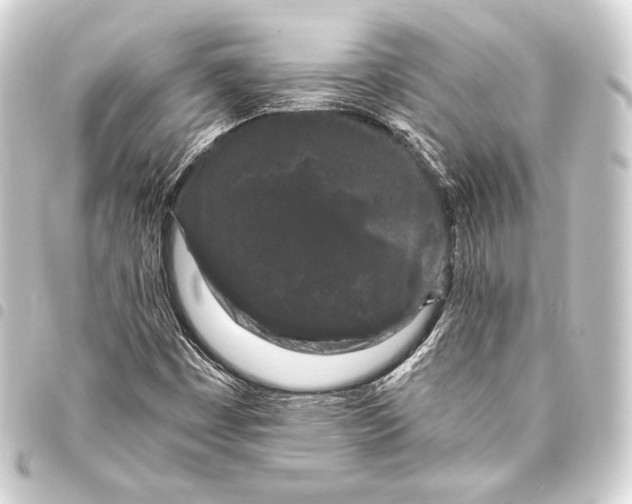 X0000093411449200711020945