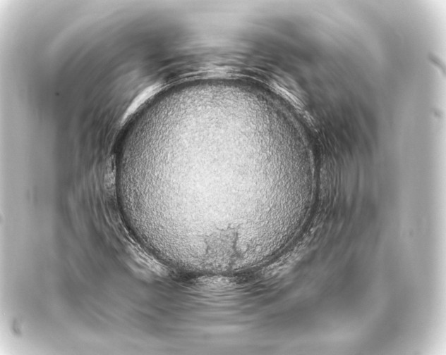 X0000093411450200711020945