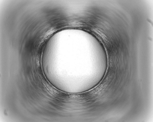 X0000093411451200711020945