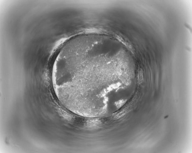 X0000093411454200711020945