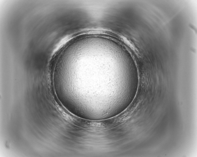 X0000093411456200711020945