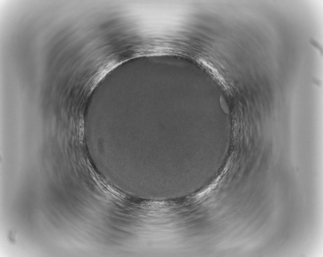 X0000093411457200711020945