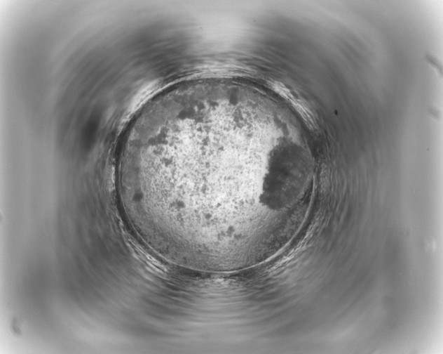 X0000093411459200711020945