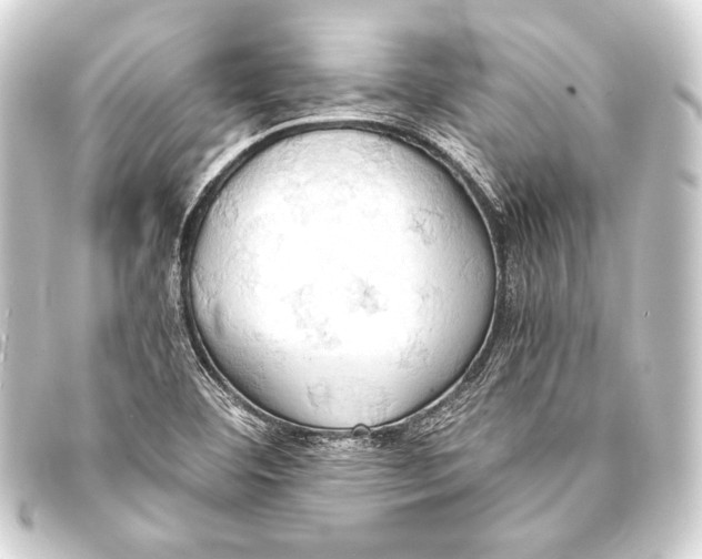 X0000093411460200711020945