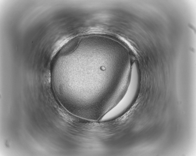 X0000093411461200711020945