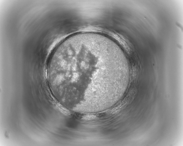 X0000093411462200711020945