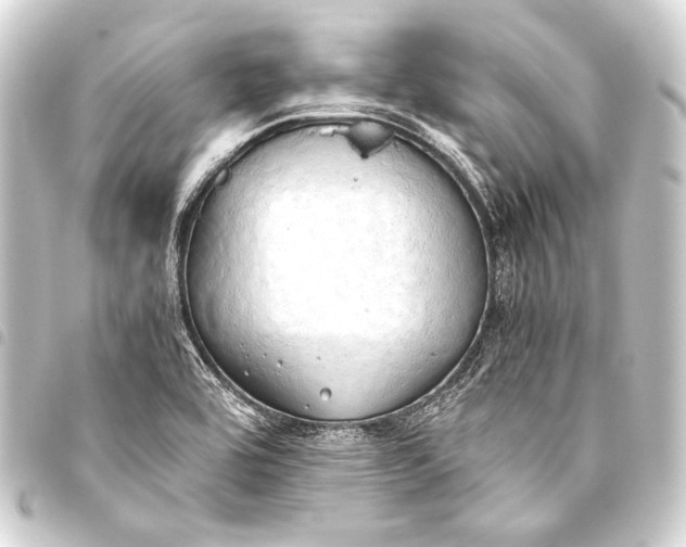 X0000093411464200711020945