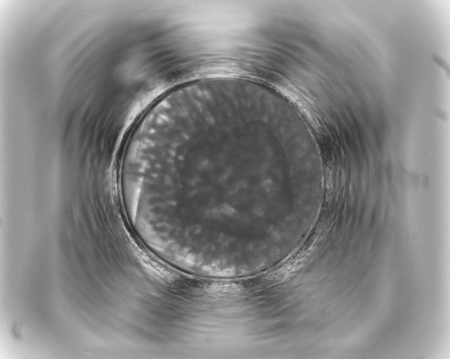 X0000093411466200711020945