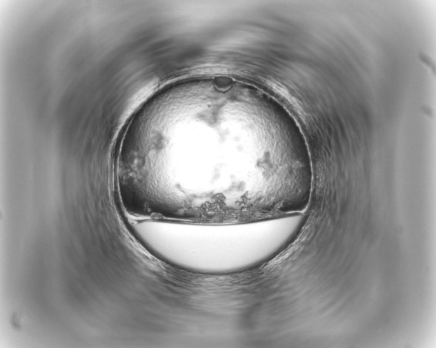 X0000093411467200711020945