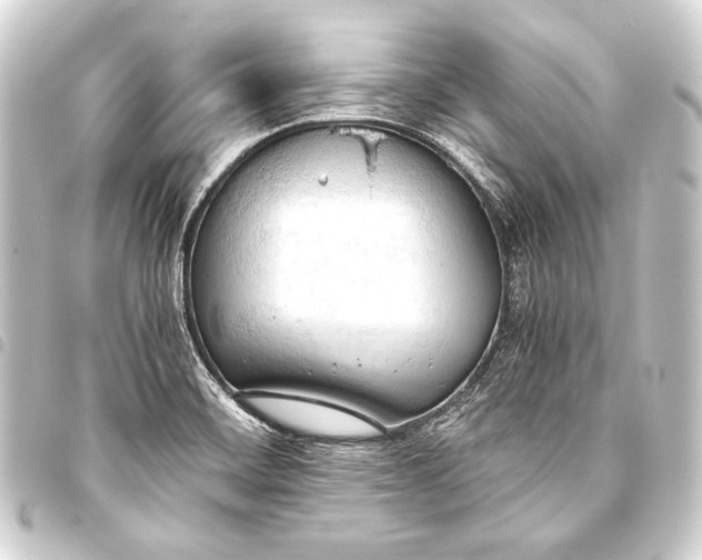 X0000093411468200711020945