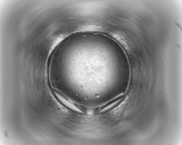 X0000093411469200711020945