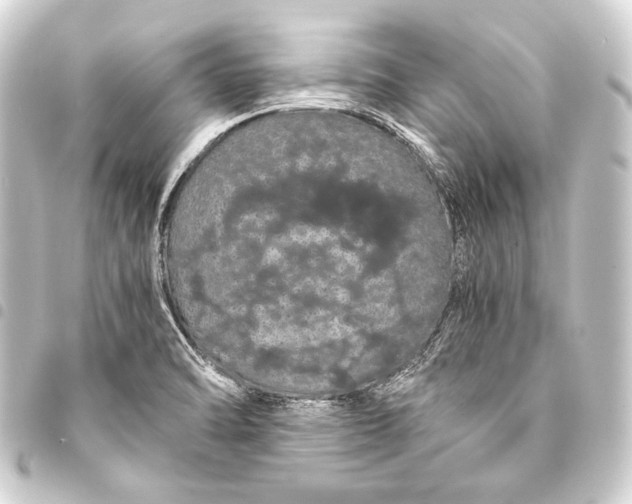 X0000093411470200711020945