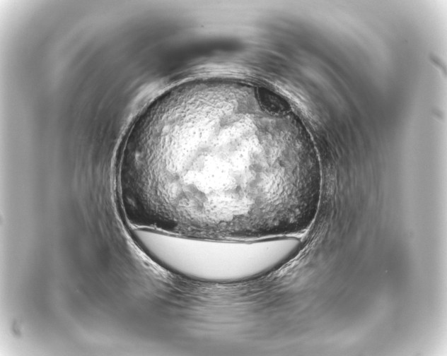 X0000093411471200711020945