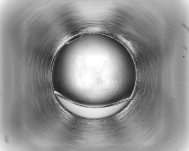 X0000093411473200711020945