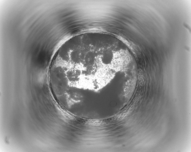 X0000093411474200711020945