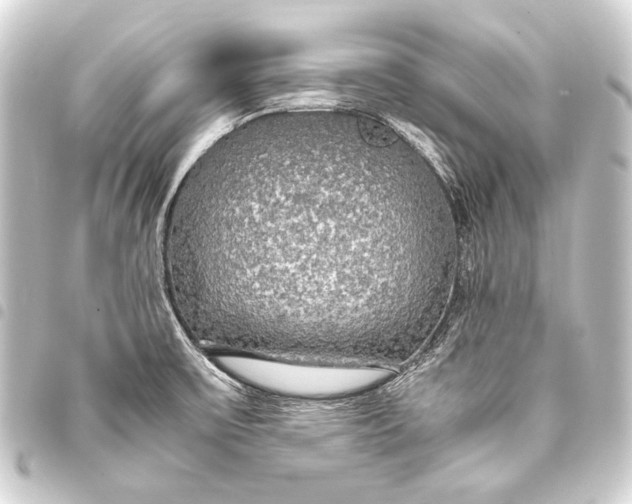 X0000093411475200711020945