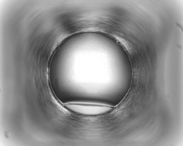 X0000093411476200711020945