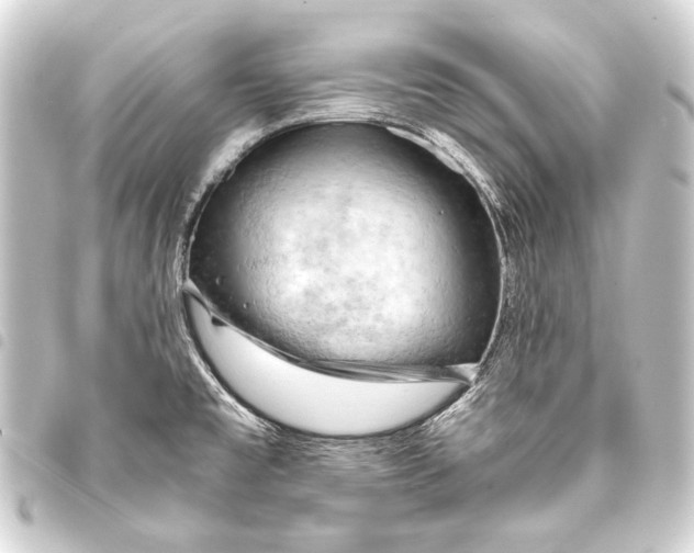 X0000093411477200711020945