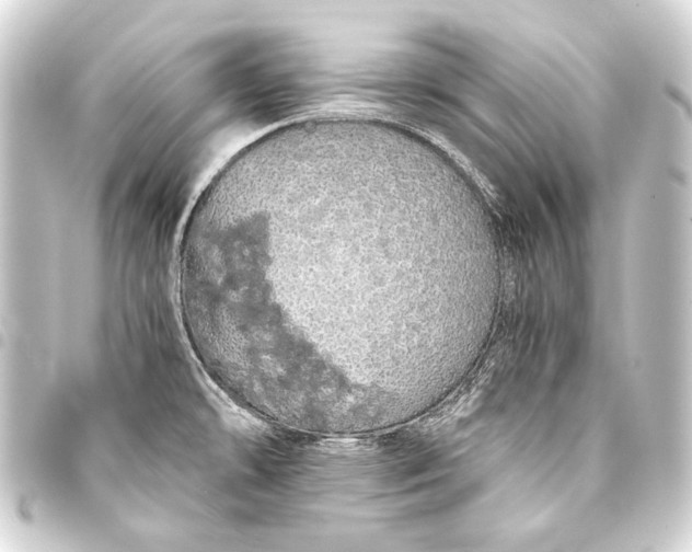 X0000093411478200711020945