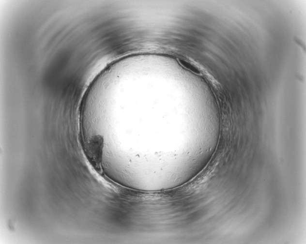 X0000093411479200711020945