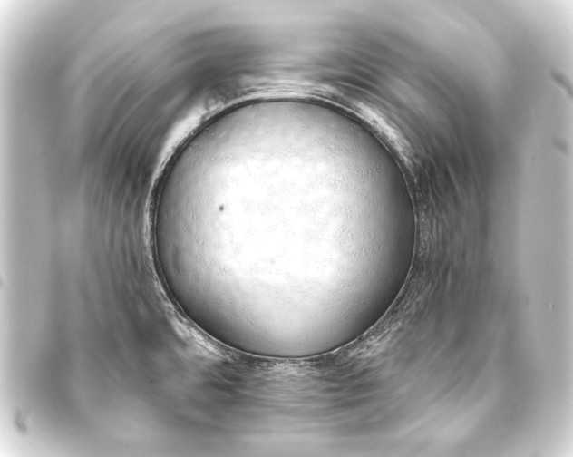 X0000093411480200711020945