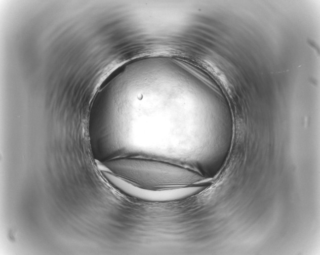 X0000093411481200711020945