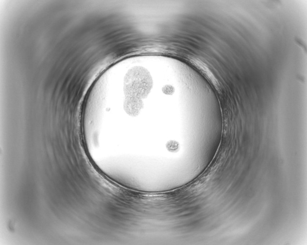 X0000093411483200711020945