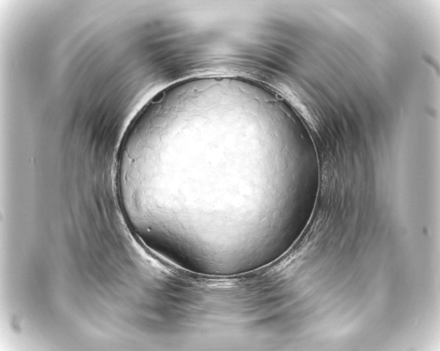 X0000093411484200711020945