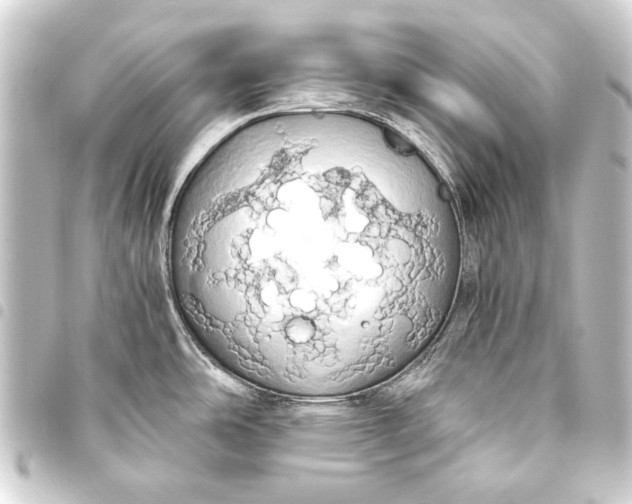 X0000093411486200711020945