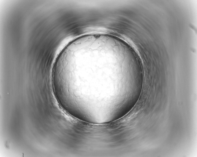 X0000093411488200711020945