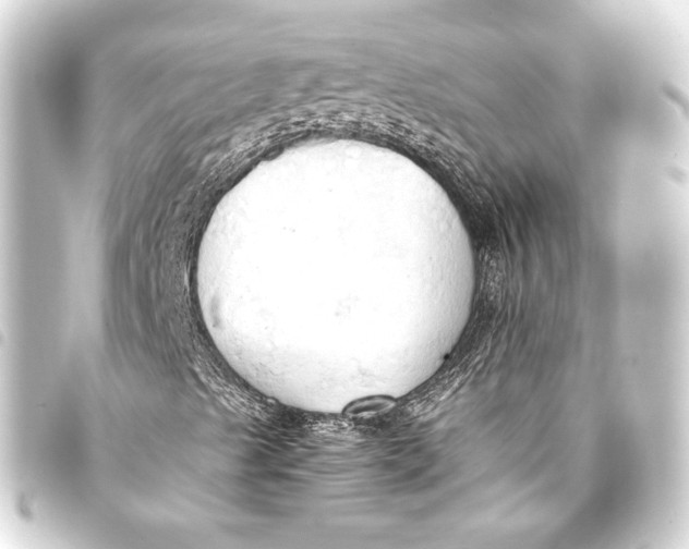 X0000093411489200711020944