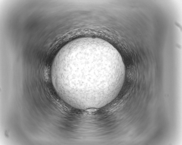 X0000093411490200711020944